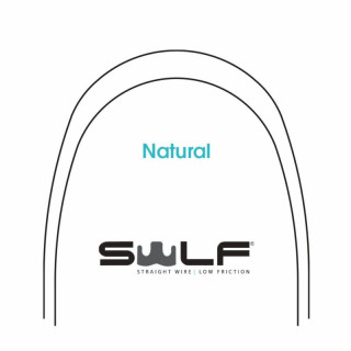 ŁUK SWLF BETA III 17/25 GÓRA