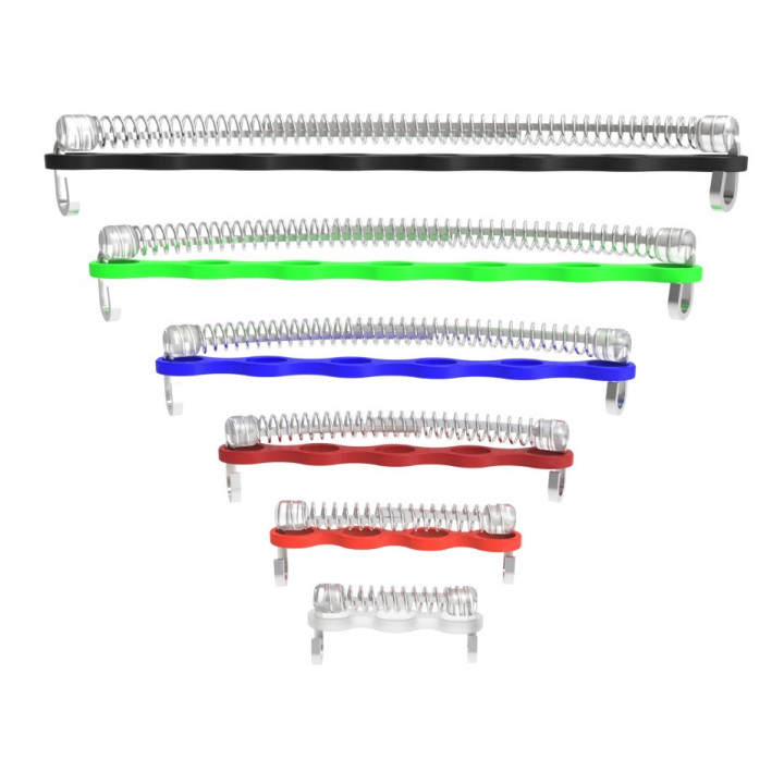 PIGGYBACKSPRING ZESTAW STARTOWY (nr Tiger 10109) (F1,B1,F2,B2, U3,CC)